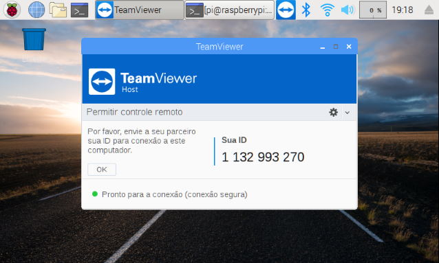 teamviewer does not start in raspberry pi