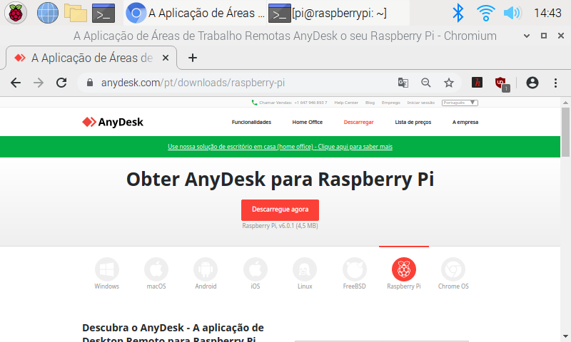 Anydesk for raspberry pi